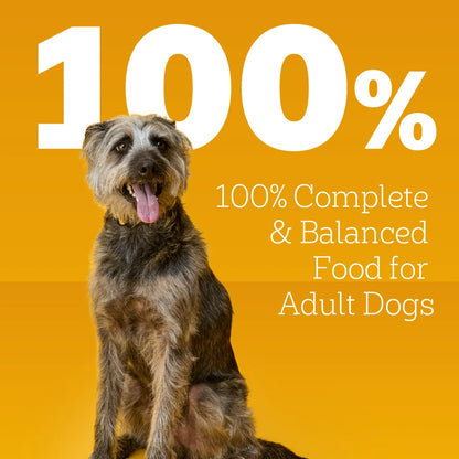 Pedigree Chopped Ground Dinner Chicken &amp; Beef Variety Pack Wet Dog Food, 13.2 Oz. Cans 12 Pack